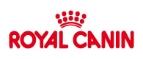 Royal Canin