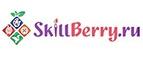 Skillberry